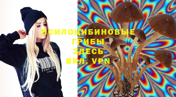не бодяженный Алзамай