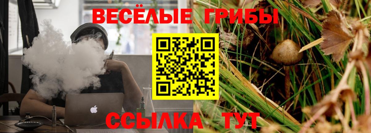Галлюциногенные грибы MAGIC MUSHROOMS Чистополь